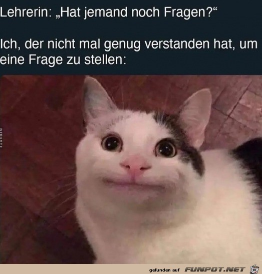 Hat jemand Fragen?