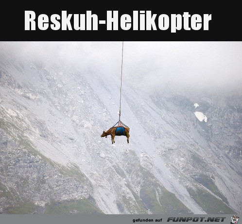 Kuh-Rettung Kuh-Rettung