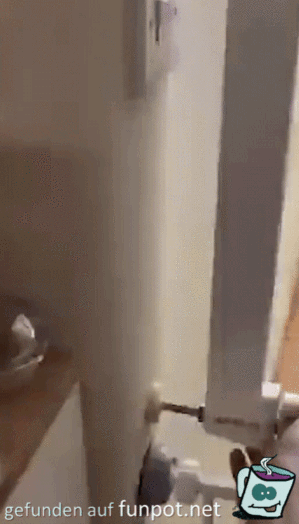 Katze holt die Post Katze holt die Post