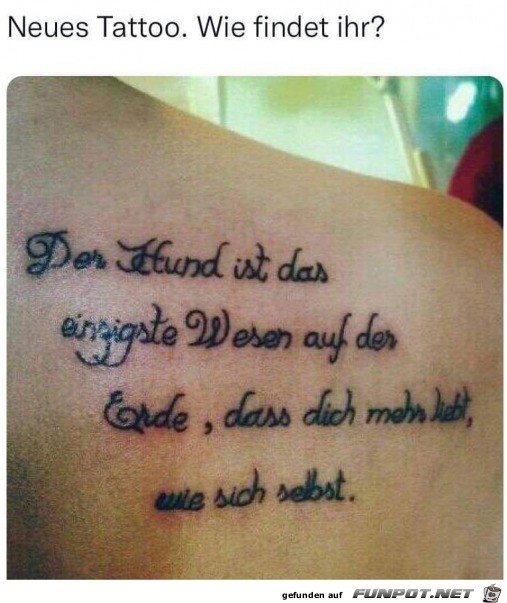 witzige Bilder aus verschiedenen Blogs