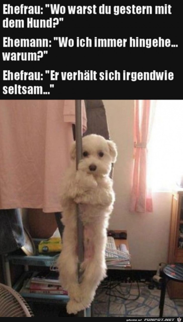 Wo warst du mit dem Hund? Wo warst du mit dem Hund?