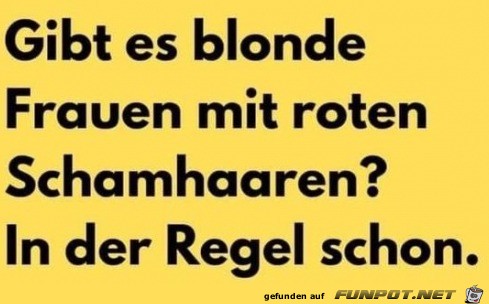 Blonde Frauen Blonde Frauen