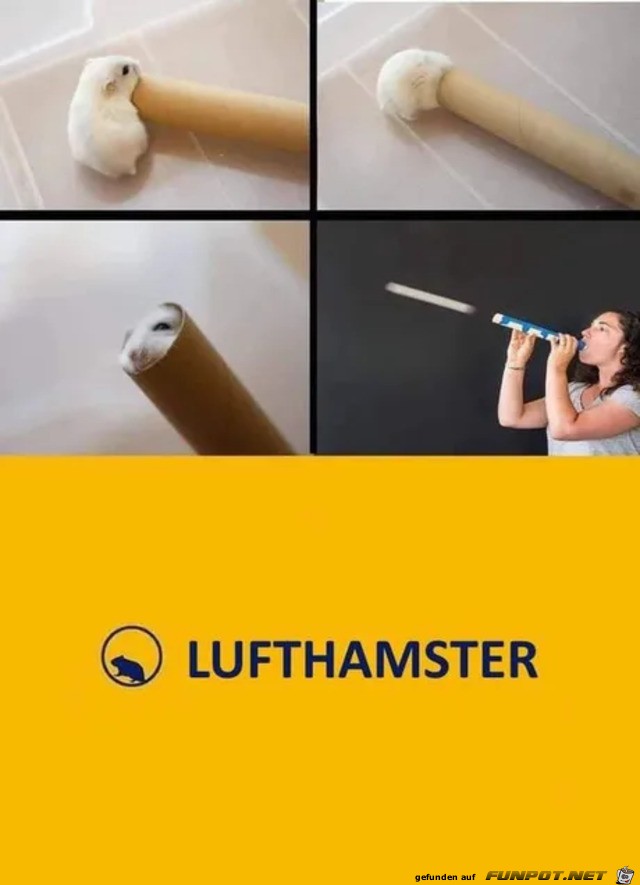 Der Lufthamster Der Lufthamster