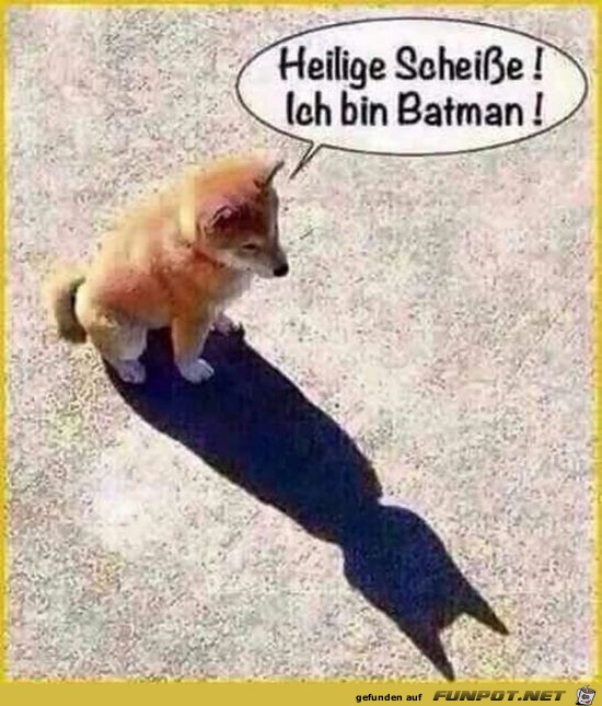 Heilige Sch.... Heilige Sch....