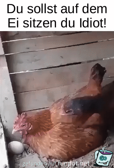 Du sollst auf dem Ei sitzen Du sollst auf dem Ei sitzen
