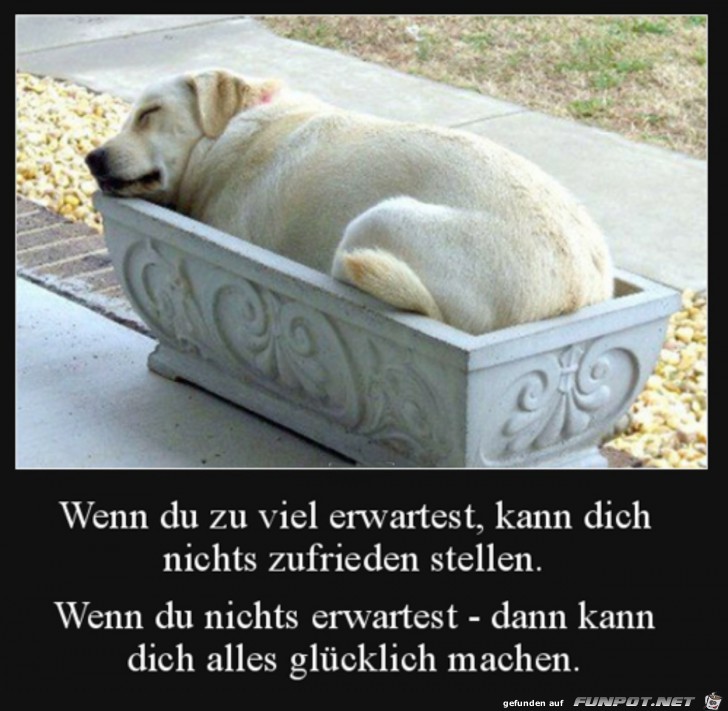 Nichts erwarten