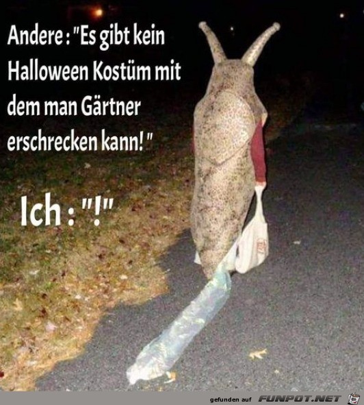 Lustiges Kostm