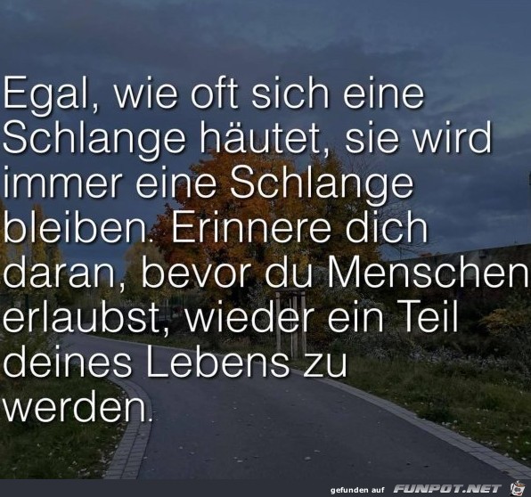 Leben zu treten