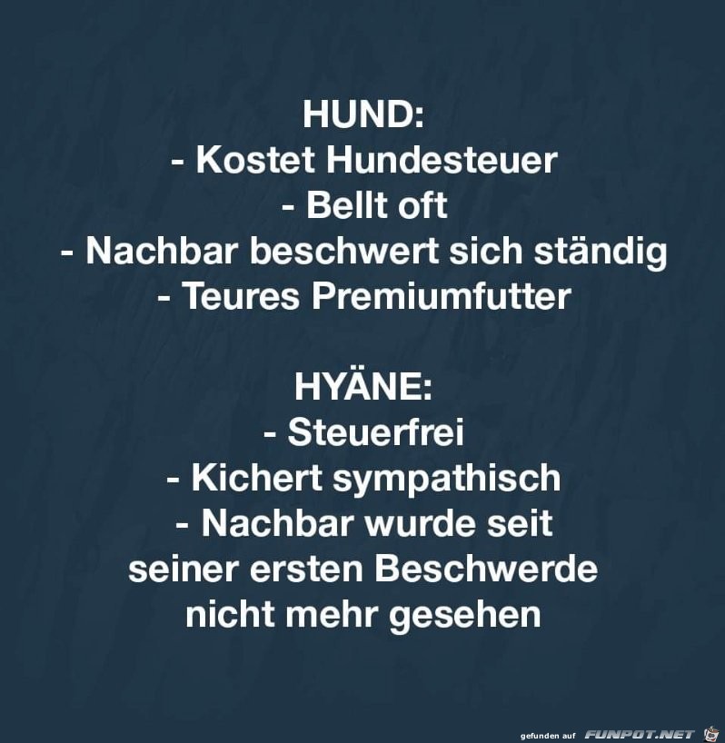 Hund vs Hyaene