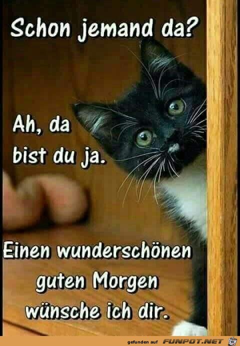 guten Morgen guten Morgen