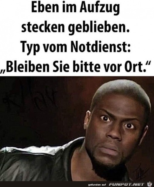 Wo sollte man hingehen?