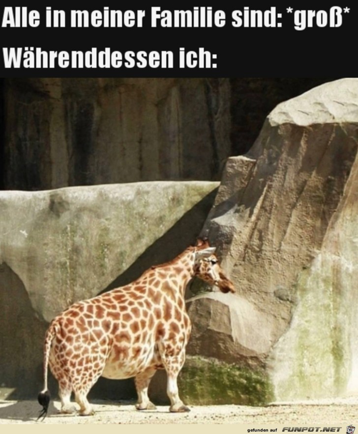 Alle in meiner Familie sind groß Alle in meiner Familie sind groß