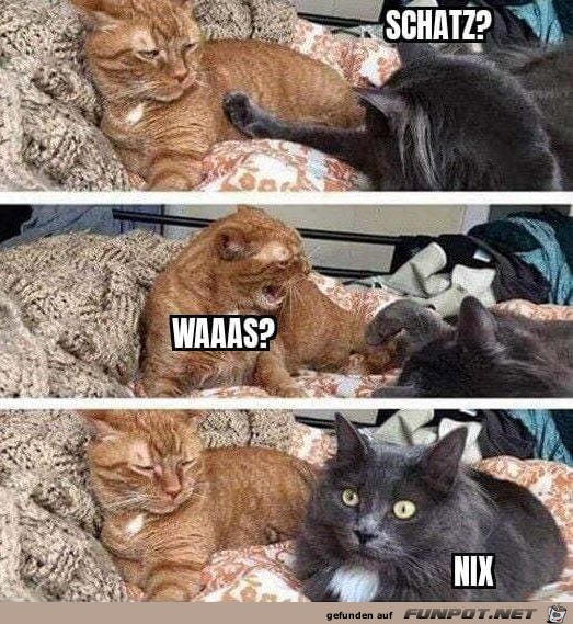 Is nix Is nix