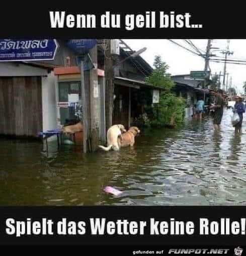 das Wetter