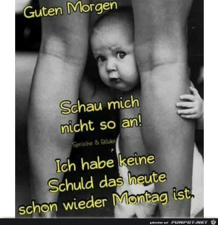 Ich bin nicht schuld Ich bin nicht schuld