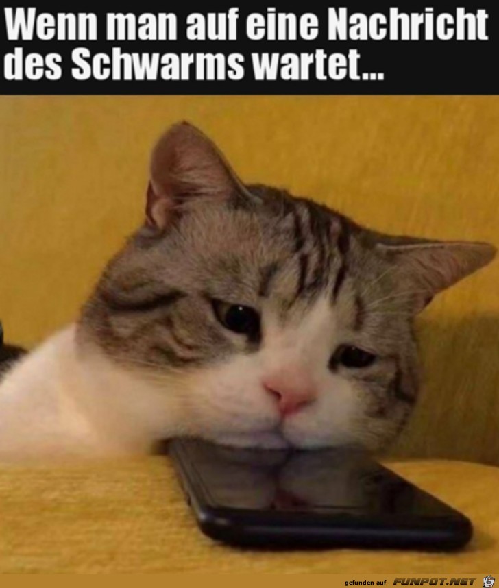 Warten auf eine Nachricht