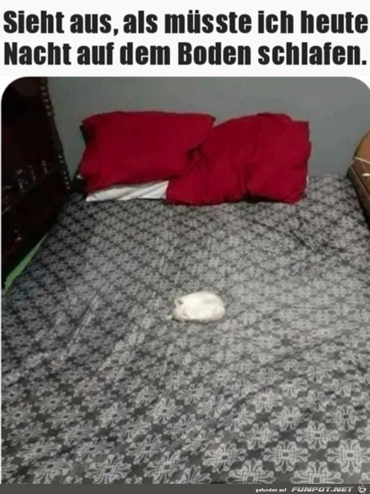 Bett ist besetzt Bett ist besetzt