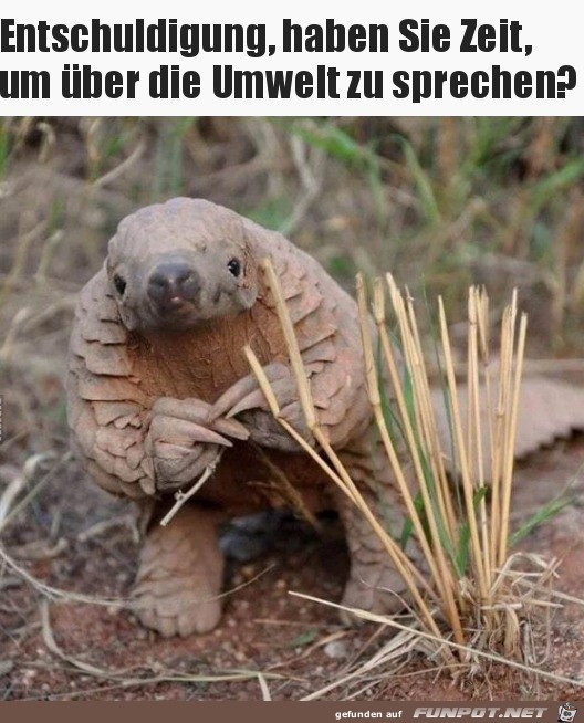 Hast du Zeit? Hast du Zeit?
