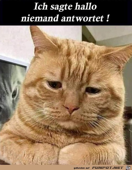 Das ist enttäuschend Das ist enttäuschend