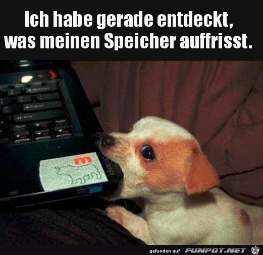 Speicher gefressen Speicher gefressen