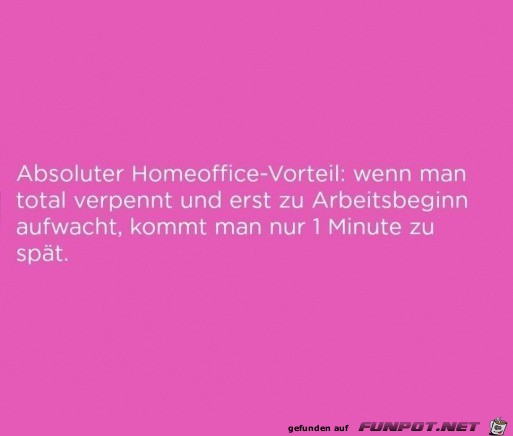 Homeoffice-Vorteil