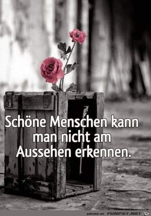 Schöne Menschen Schöne Menschen