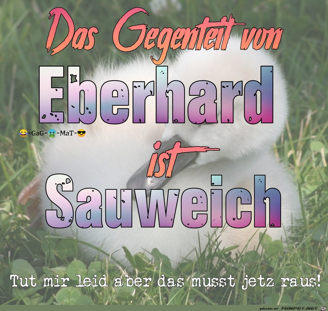 Sauweich Sauweich