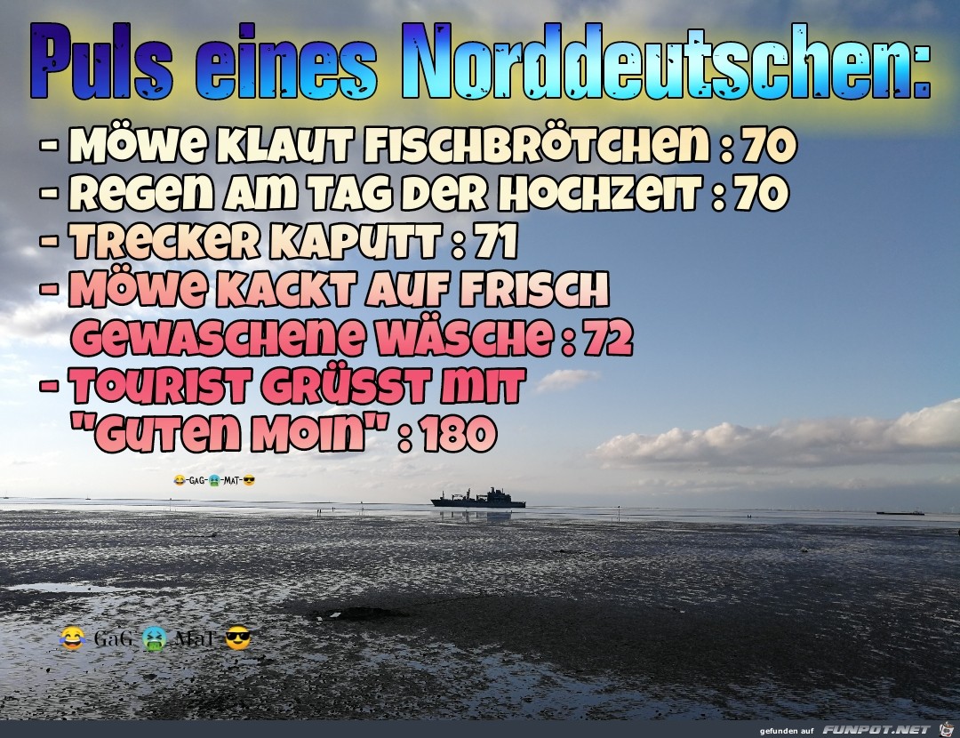 Norddeutscher Puls Norddeutscher Puls