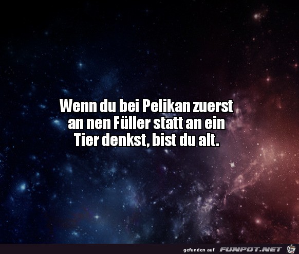Pelikan Pelikan