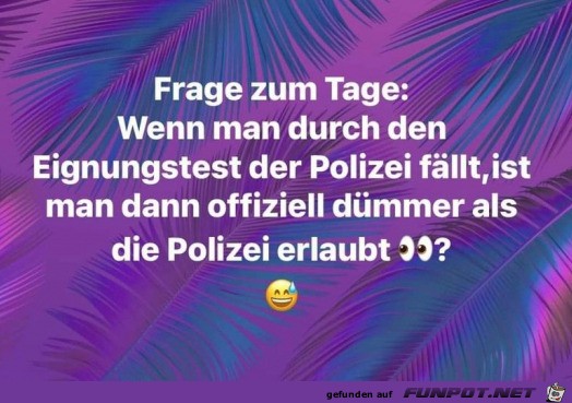 Interessante Frage Interessante Frage
