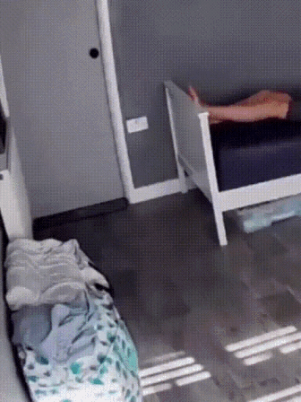 Katze macht es dem Frauchen nach Katze macht es dem Frauchen nach