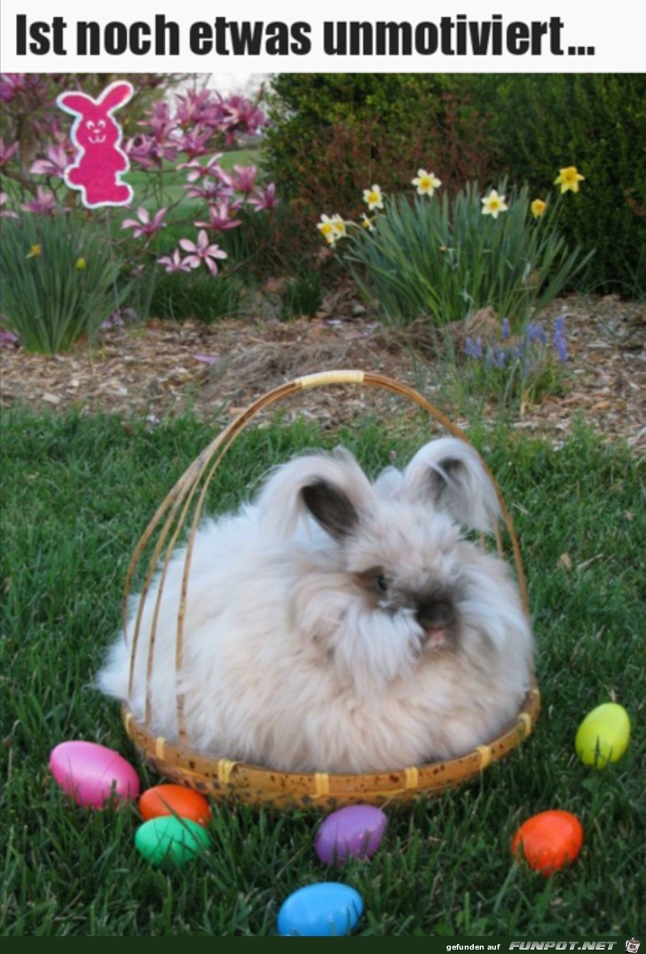 Osterhase hat keine Lust Osterhase hat keine Lust