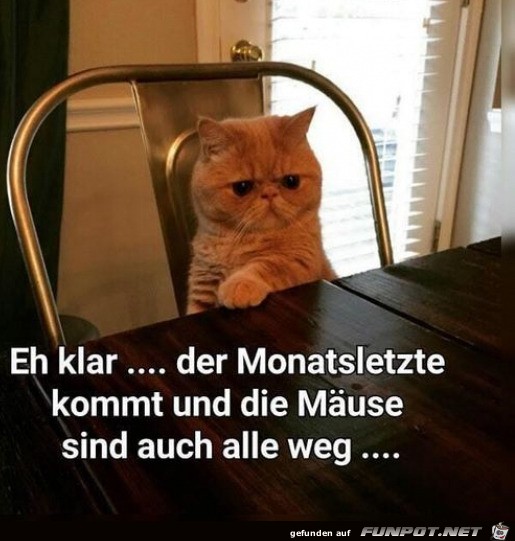 Alle Muse sind weg