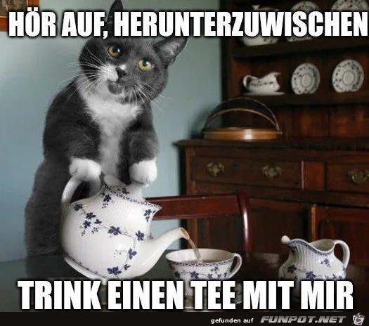 Trink einen Tee Trink einen Tee