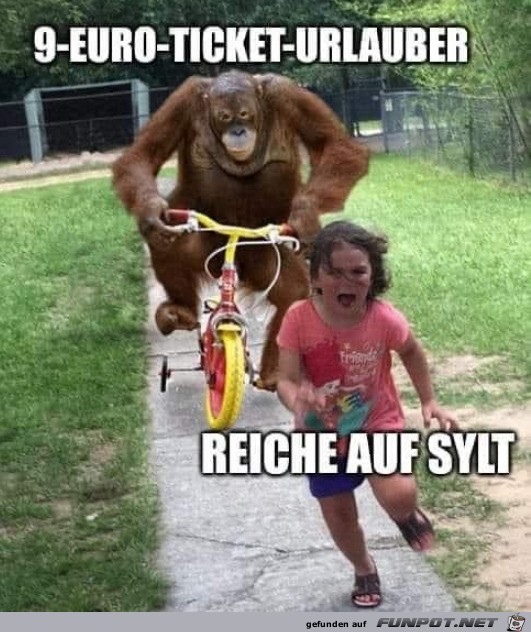 Reiche auf Sylt