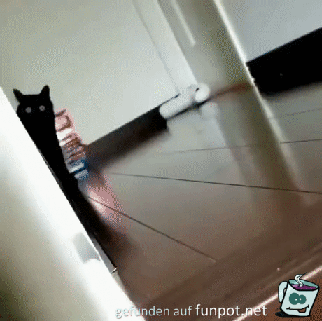 witzige animierte Bilder aus verschiedenen Blogs