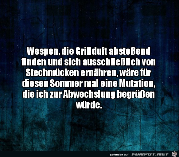 Wespen Wespen