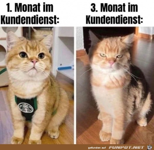 Im Kundendienst Im Kundendienst