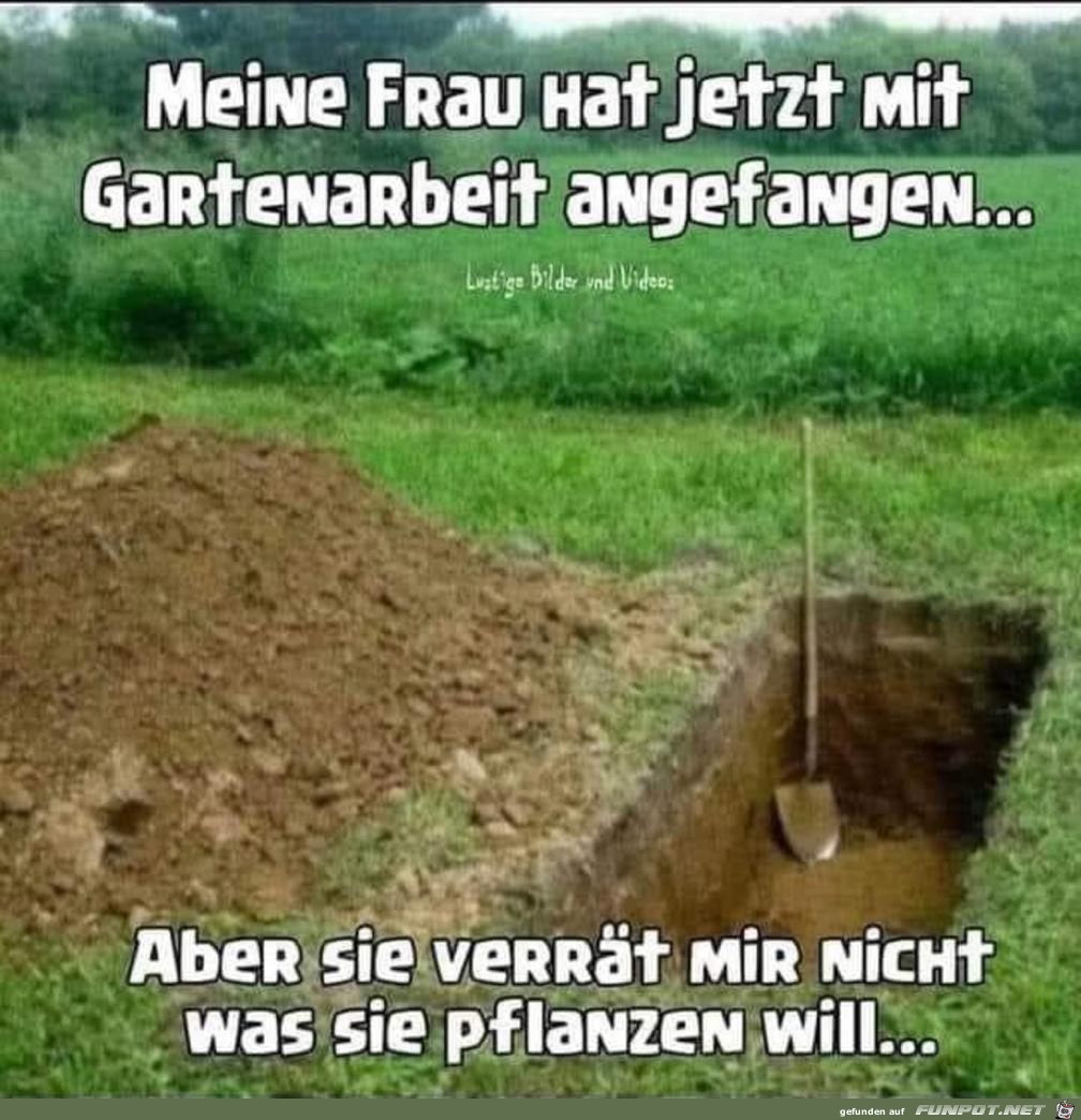 Garten Garten