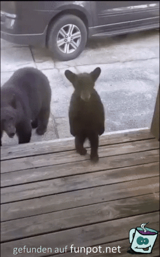 Kleiner Bär sagt Hallo Kleiner Bär sagt Hallo