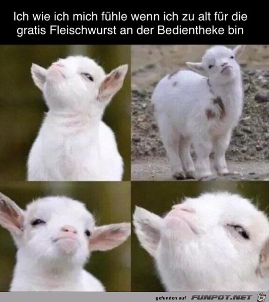 Zu alt Zu alt