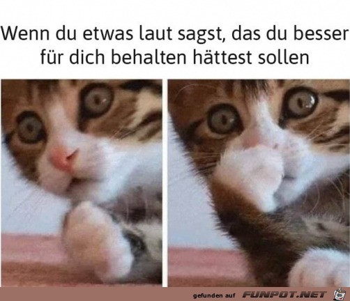 Hätte ich lieber den Mund gehalten Hätte ich lieber den Mund gehalten