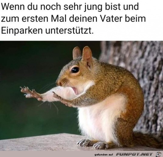 Einparkhilfe