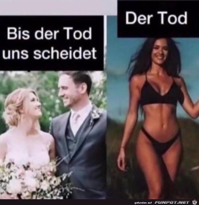 Scheidung Scheidung