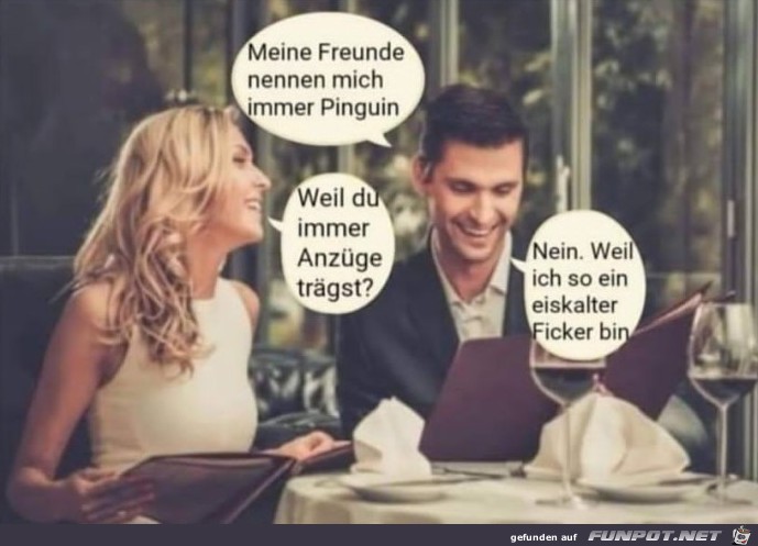 Pinguin