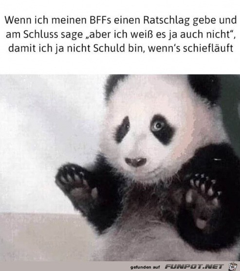 Ich bin unschuldig