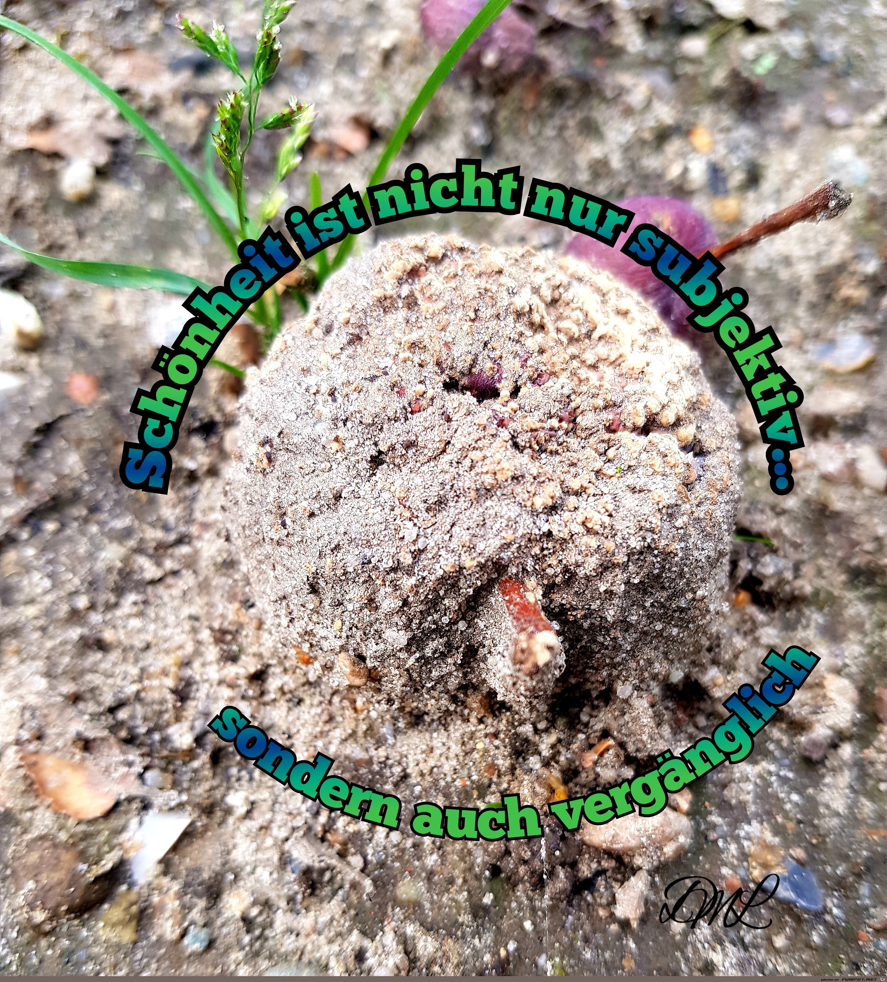 Schönheit subjektiv Apfel.Despina20220718 Schönheit subjektiv Apfel.Despina20220718