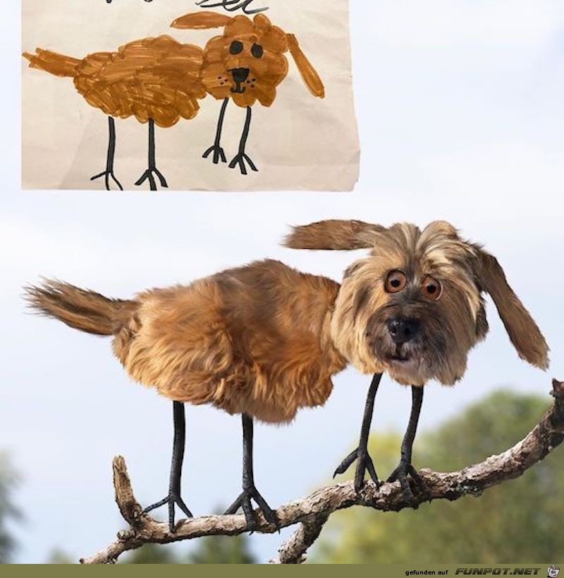 Ein komisches Tier Ein komisches Tier