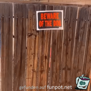 Was für ein gefährlicher Hund Was für ein gefährlicher Hund
