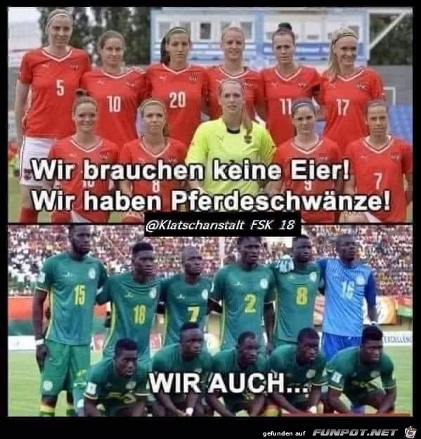 Pferdeschwänze Pferdeschwänze
